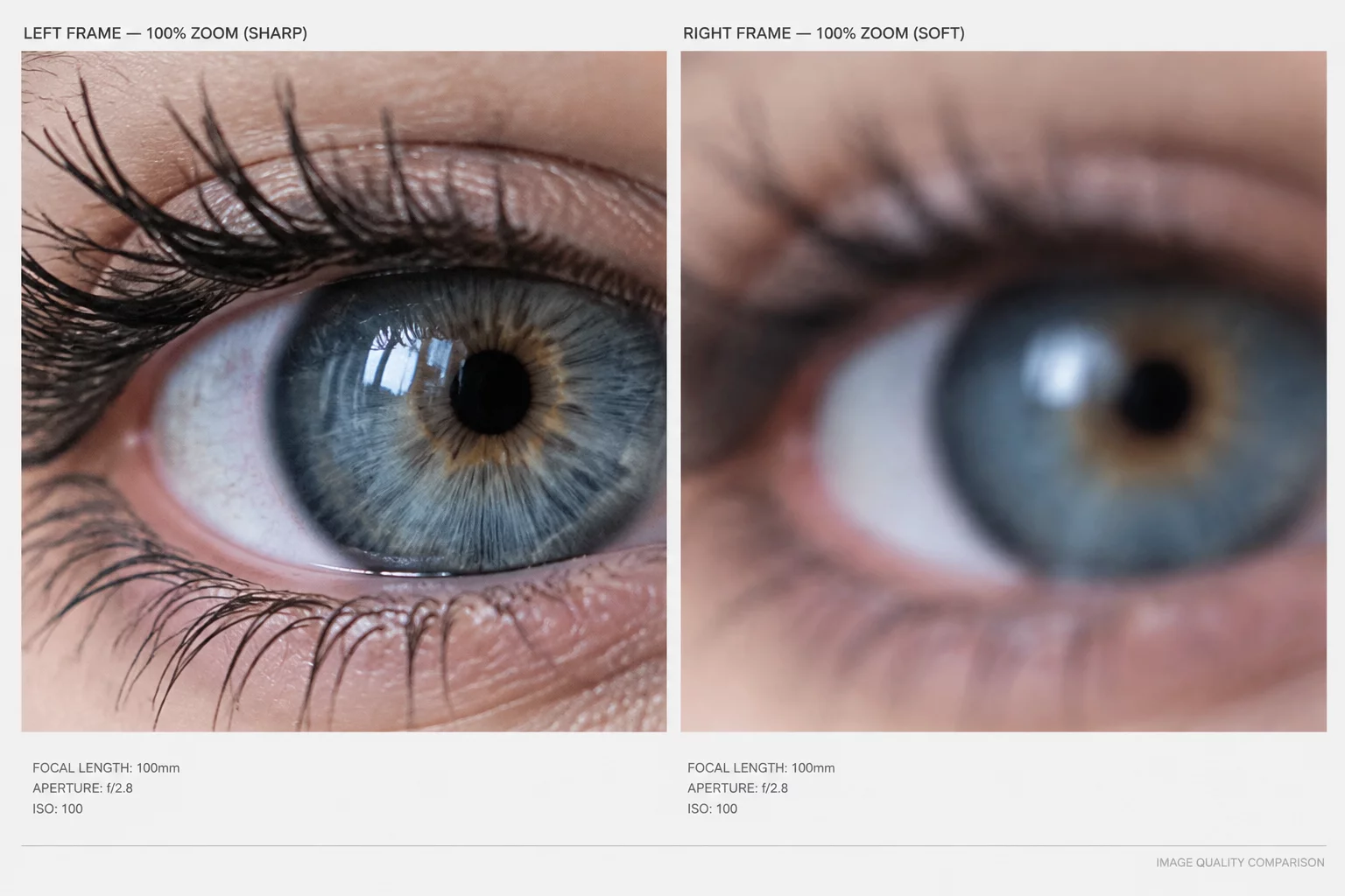 Depth of Field Falloff and Critical Focus Auditing