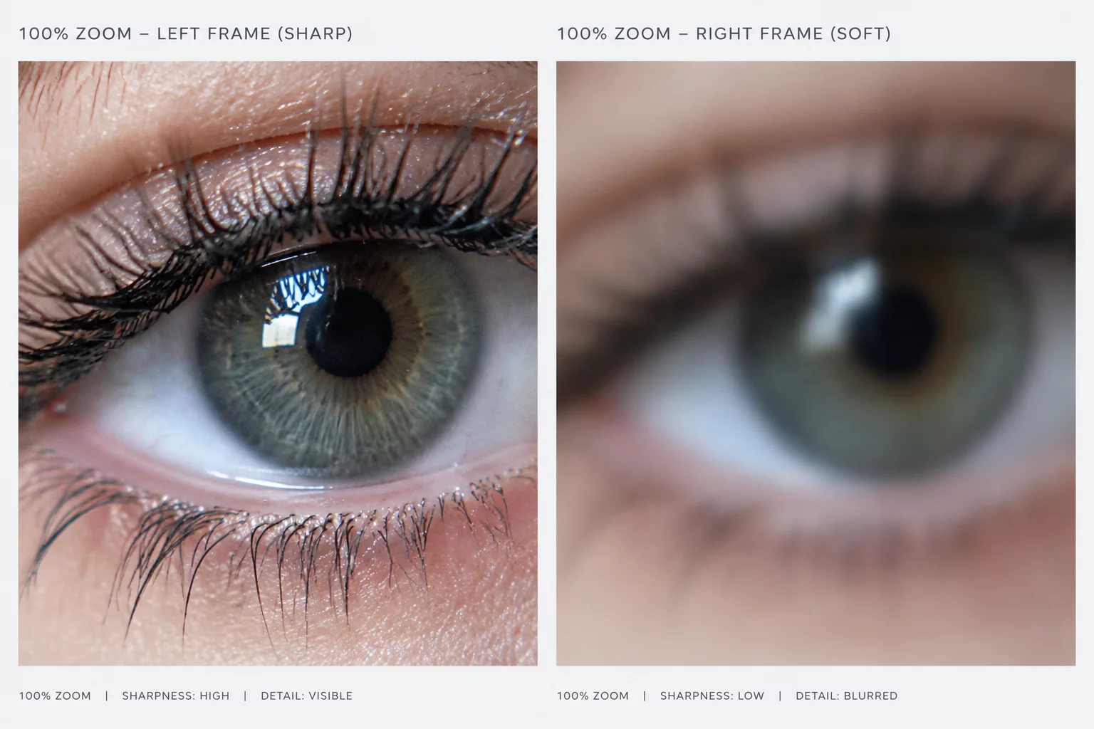 Depth of Field Falloff and Critical Focus Auditing